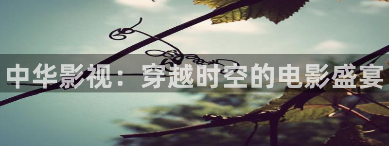 色七七影院桃花2017：中华影视：穿越时空的电影盛宴