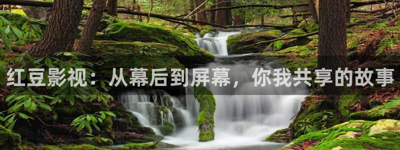 七七影院在线观看免费播放电视剧：红豆影视：从幕后到屏幕，你我共享的故事
