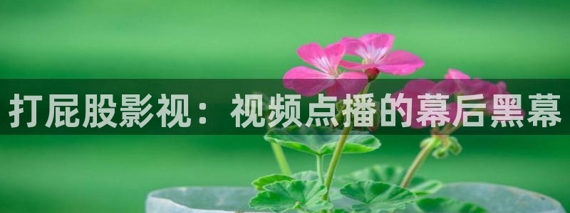 七七影院桃：打屁股影视：视频点播的幕后黑幕
