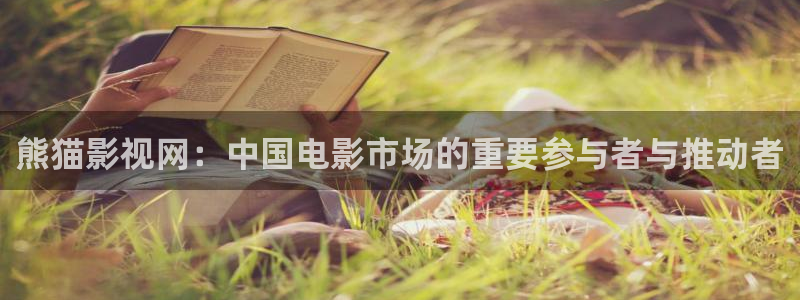 色七七影院桃花：熊猫影视网：中国电影市场的重要参与者与推动者