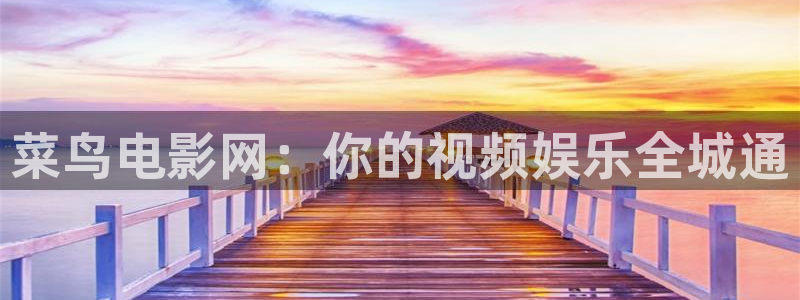 七七影院：菜鸟电影网：你的视频娱乐全城通